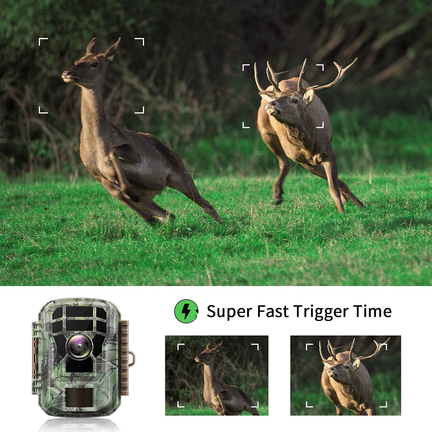 【2020 Upgrade】 Campark Mini Trail Camera 16MP 1080P HD Game Camera Waterproof Wildlife Scouting Hunting Cam with 120° Wide Angle Lens and Night Vision 2.0” LCD IR LEDs: Electronics