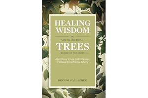 Healing Wisdom of North American Trees: A Practitioner's Guide to Identification, Traditional Use & Herbal Alchemy