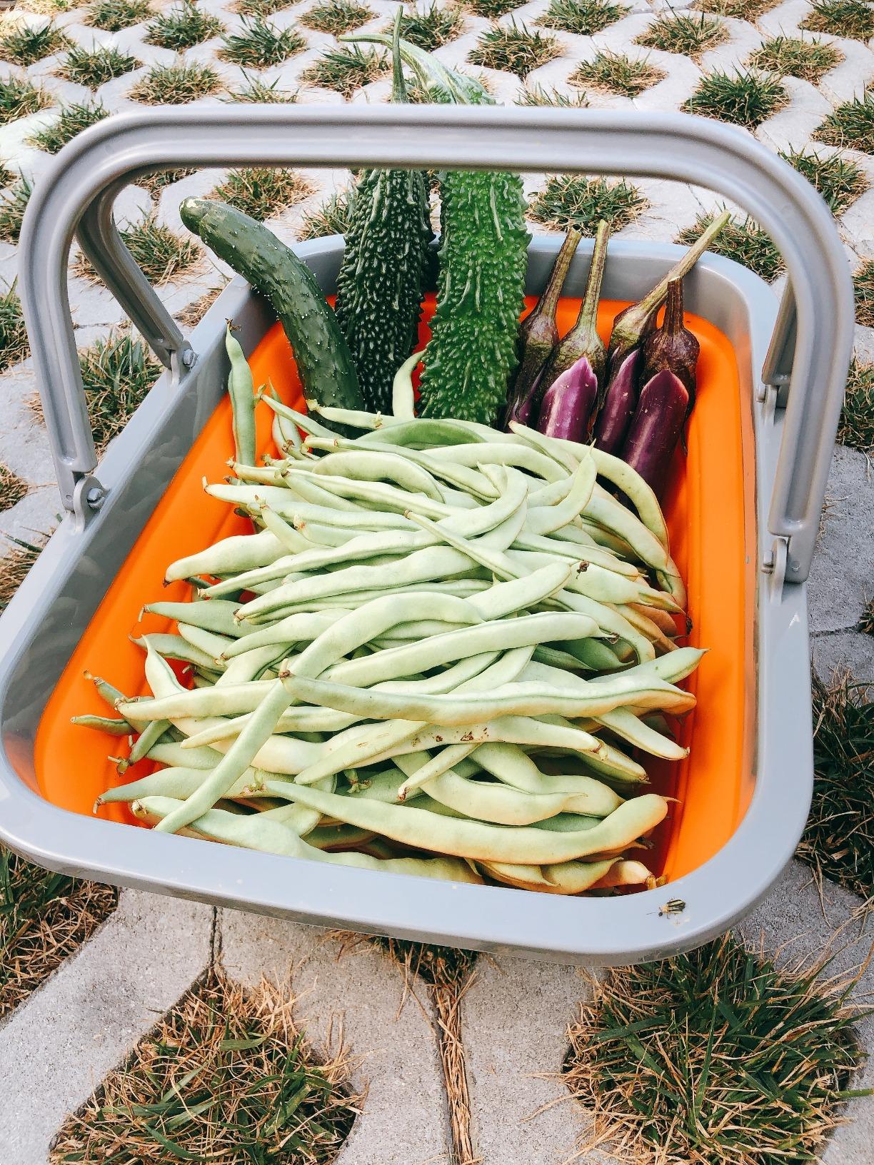 2-Pack Collapsible Sink - 2.25 Gallon Portable Wash Basins For Camping & Home