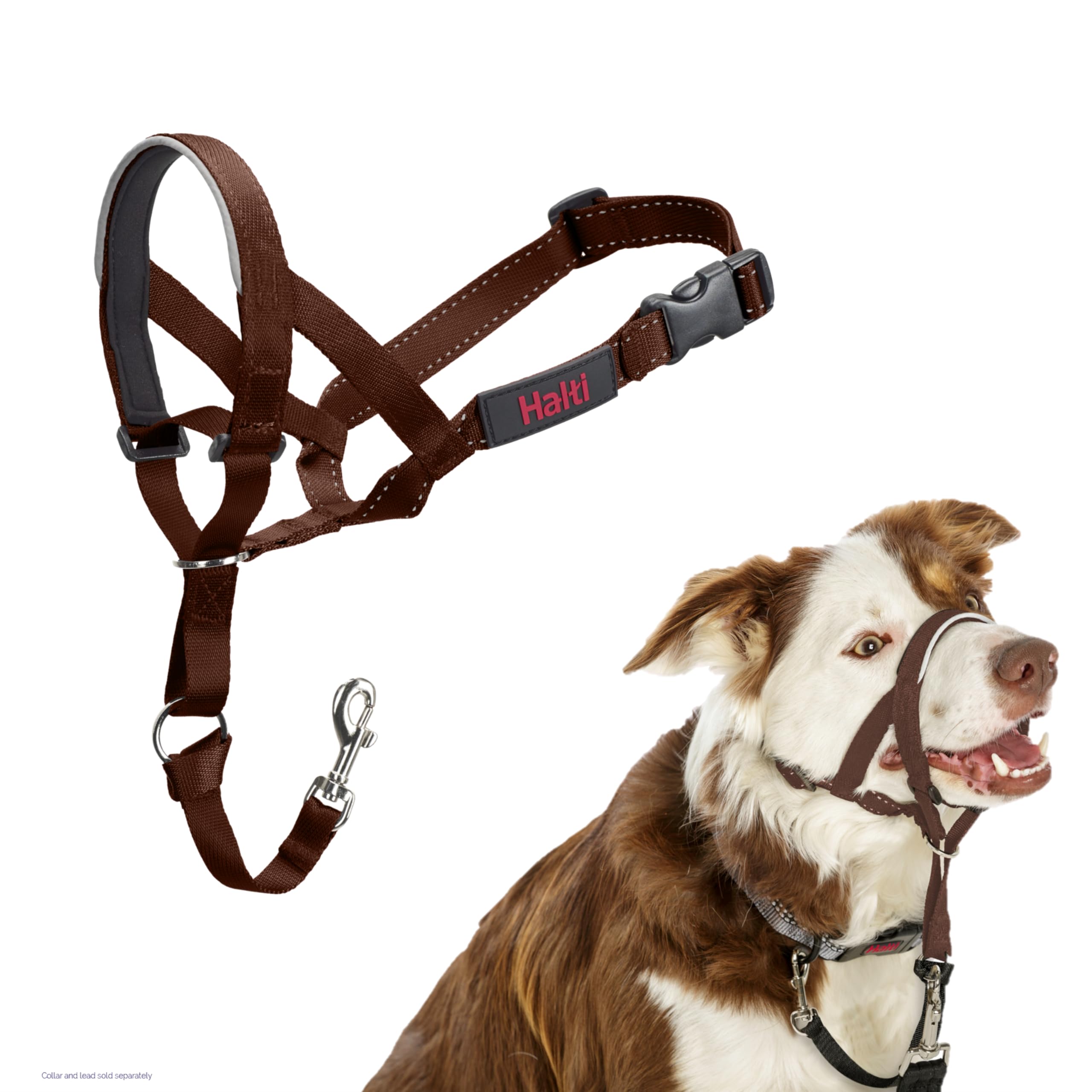 Halti Headcollar - Stop Your Dog Pulling on the Lead. Adjustable, Reflective and Lightweight, with Padded Nose Band. Dog Training Anti-Pull Collar for Medium Dogs (Size 2, Deep Walnut)