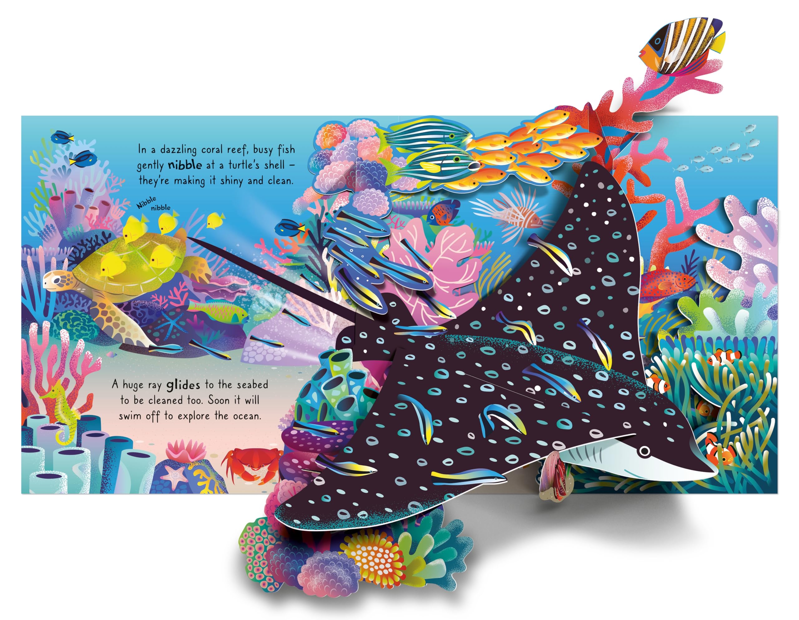 Pop-up Ocean (Pop-Ups)
