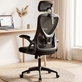 Ergonomic Mesh Office Chair with Headrest, Lumbar Support, 400 lbs (Dark Black)