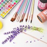 Nicpro 10Pcs Watercolor Brushes Set Cat Tongue Liner Dagger Wash with Holder view 2