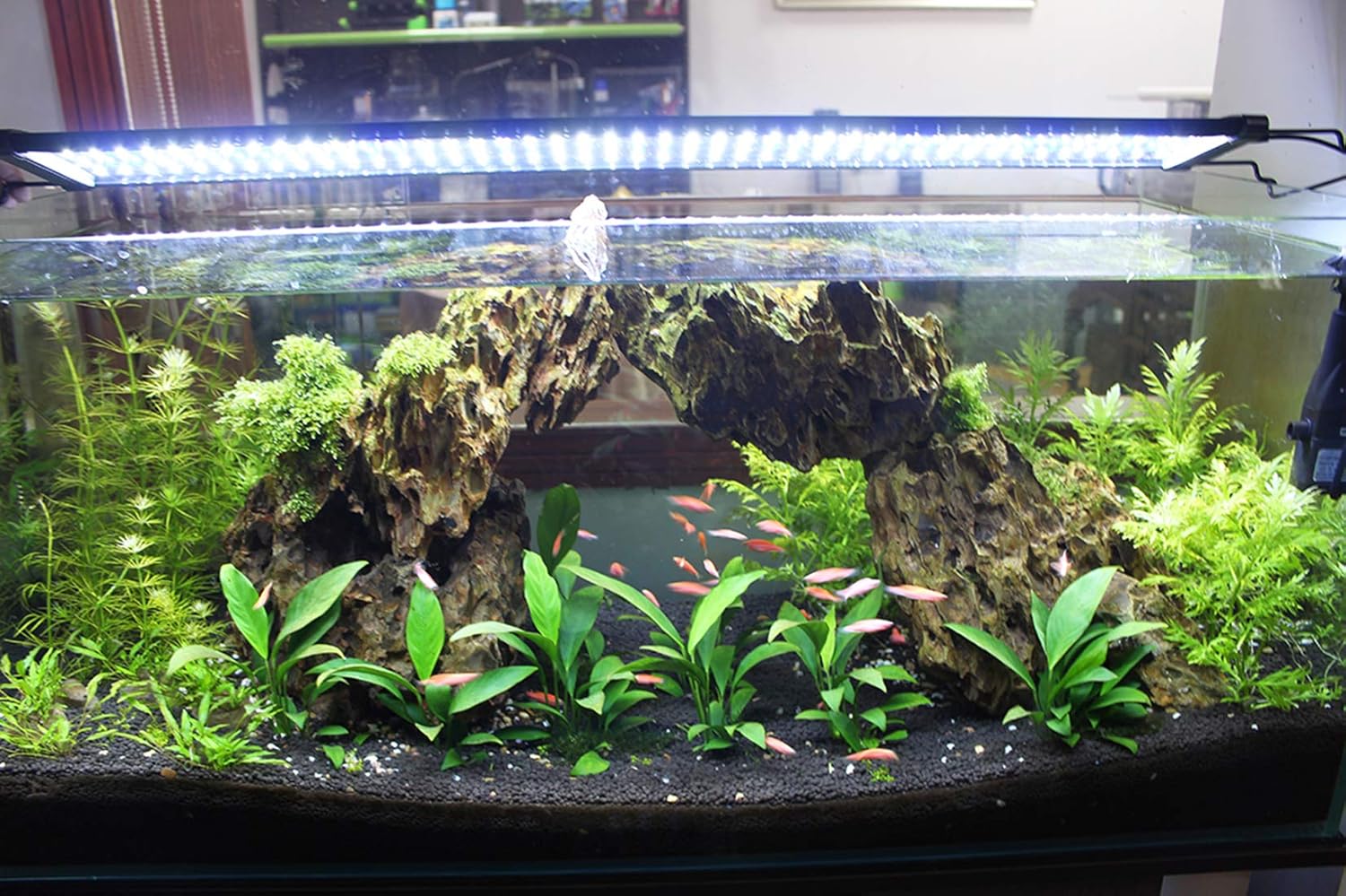 led para acuarios plantados