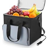 WODHMIEY 15L Portable Electric Cooler Bag,Car Cooler Watertight Liner Bag, Soft Sided Thermoelectric Travel Cooler with Shoulder Strap, Storage Pocket &amp; DC 12V Plug in for