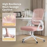 naspaluro Ergonomic Office Desk Chair with Height Adjustable Seat and Lumbar view 3