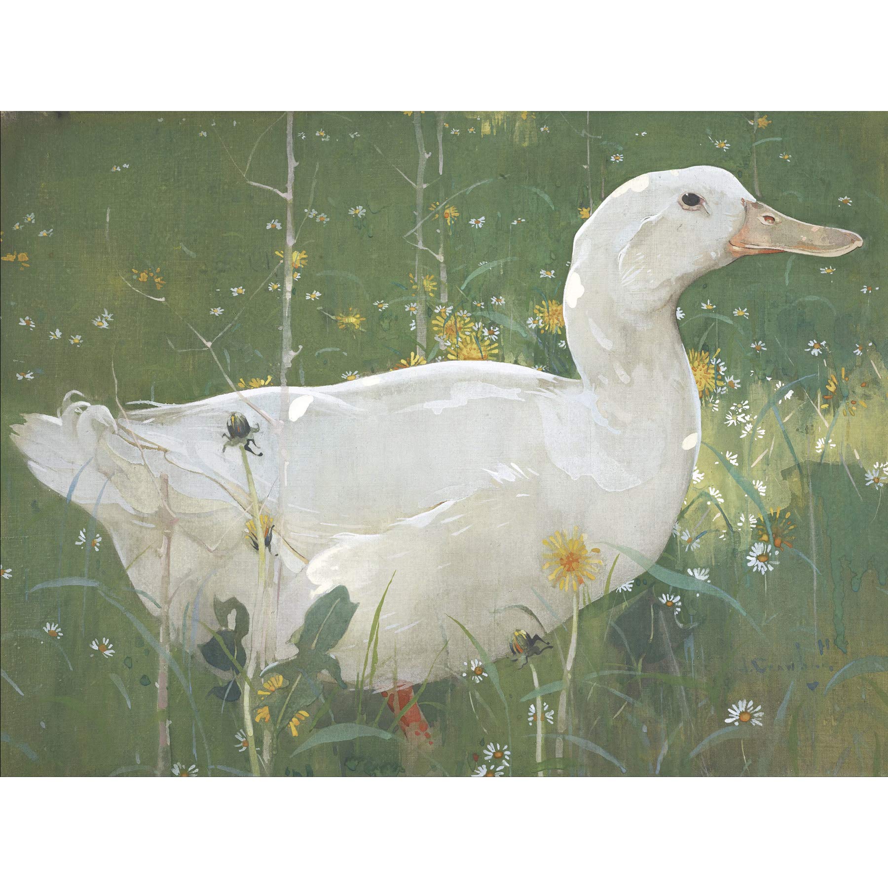Joseph Crawhall The White Drake Extra Large Wall Art Print Premium Canvas Mural