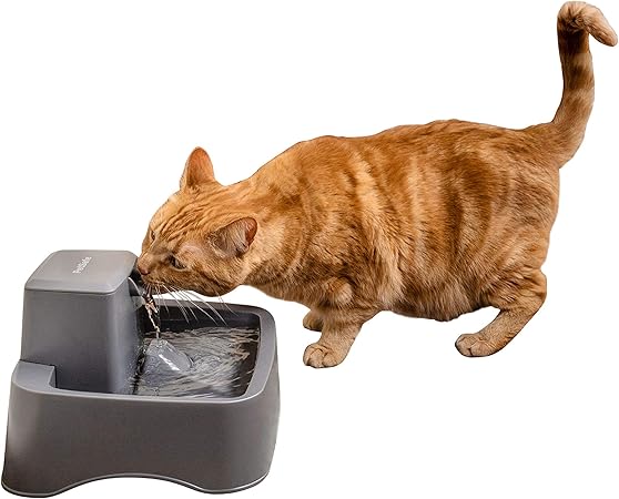 petsafe drinkwell pet fountain