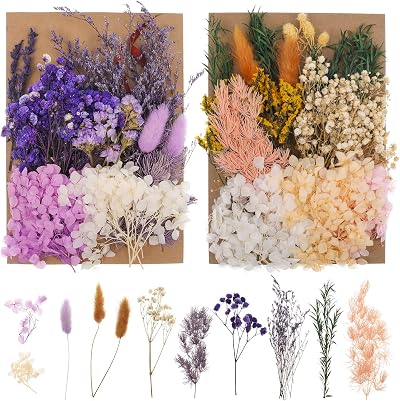 QINREN 2 Packs Real Dried Flowers Set Natural Preserved Leaves DIY Arts Resin