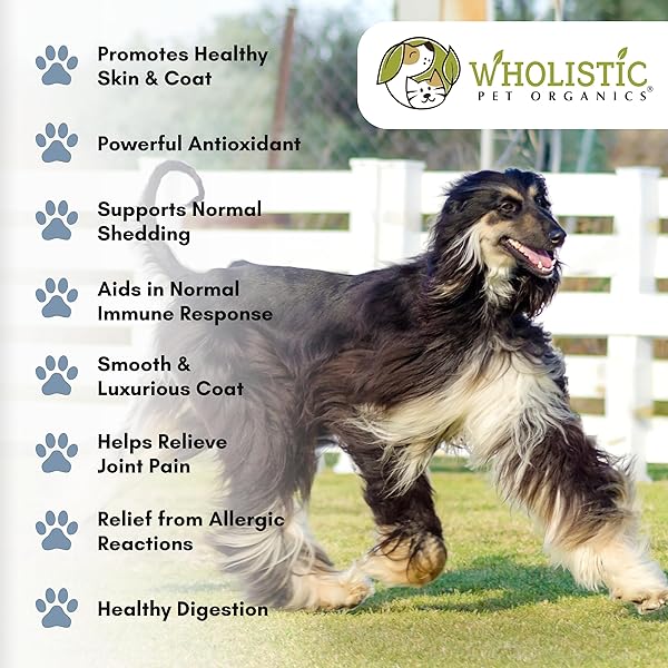 WHOLISTIC PET ORGANICS FLAXSEED OIL FOR DOGS – 16 OZ – OMEGA 3 SUPPLEMENT FOR DOG ITCHY SKIN, DRY SKIN RELIEF & SHEDDING – SKIN & COAT VITAMINS