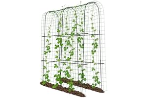 URGROWA Tall Garden Cucumber Trellis for Climbing Plants Outdoor, 71in Tall Metal Arch Plant Support Trellis for Vegetable Fruit Flower Vine Plant, Pea Tunnel A-Frame Trellis for Raised Bed, Black