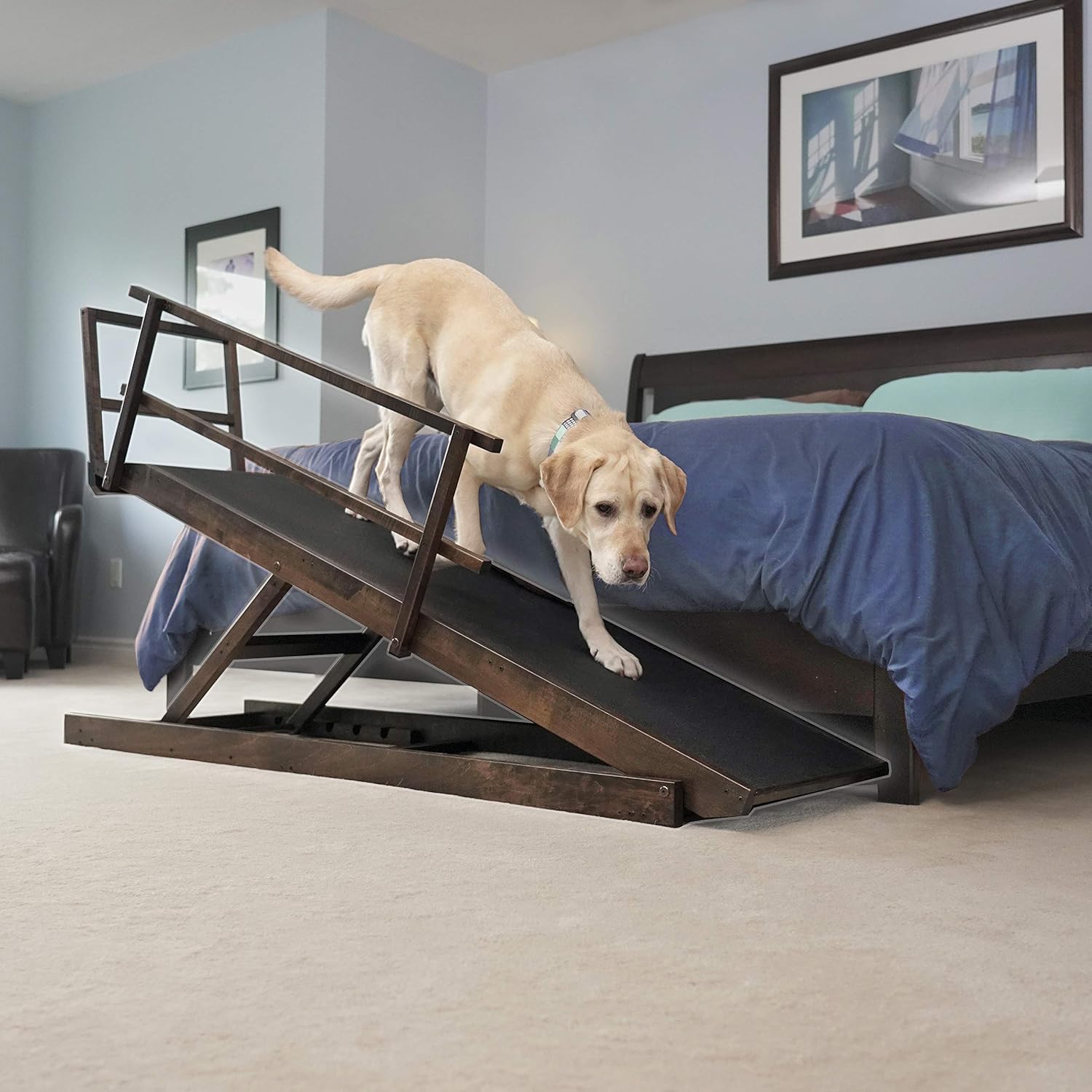Amazon.com : DoggoRamps Large Bed Ramp 