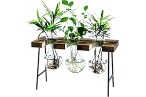 LESES Plant Propagation Stations Desktop Air Plant Terrarium, Glass Planter Bulb Glass Vase with Wood Stand Propagation Station for Hydroponics Plants Home Office Garden Decor Brown
