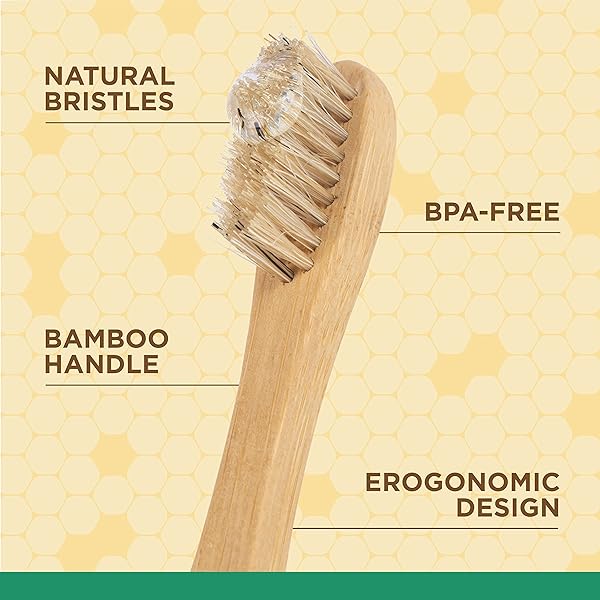 BURT’S BEES FOR PETS NATURALLY DERIVED ORAL CARE KIT DOG DENTAL KIT WITH TOOTHPASTE & BAMBOO TOOTHBRUSH DOG TOOTHBRUSH AND TOOTHPASTE WITH HONEYSUCKLE & PEPPERMINT OIL, FRESH MINT FLAVOR (2.5 OZ)
