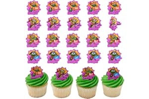 DecoPac Teenage Mutant Ninja Turtles Turtle Power Rings, Cupcake Decorations For Birthday Party, Cakes, And Celebrations - 24 Pack