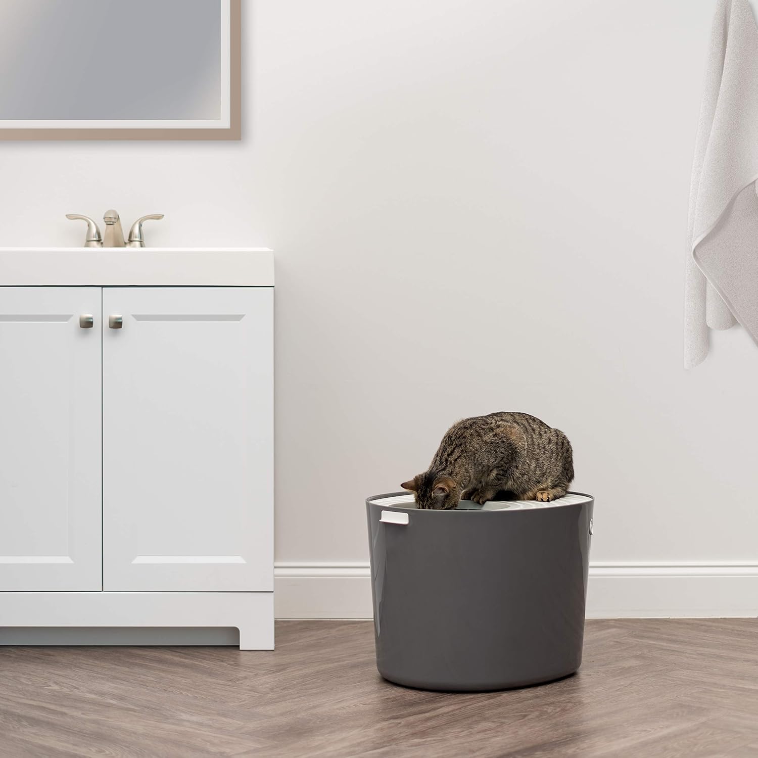 IRIS USA Top Entry Cat Litter Box with Cat Litter Scoop, Dark Gray & White, Dark Gray/White, Large Punt-530: Pet Supplies