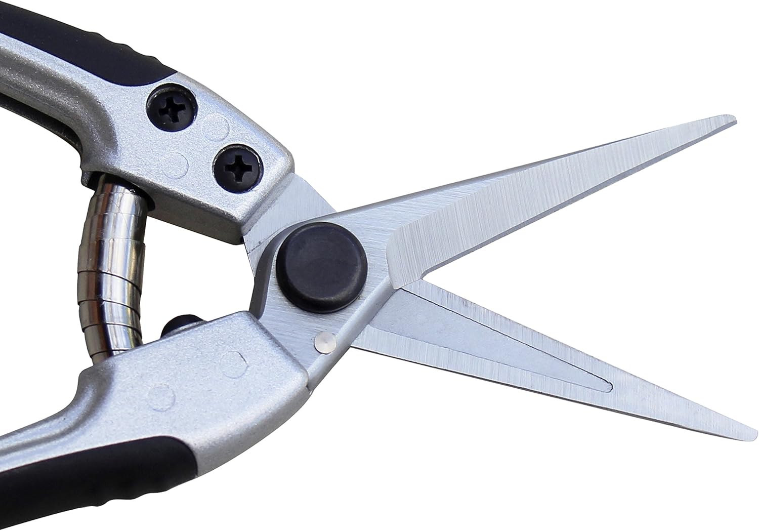 TABOR TOOLS K18A Pruning Shears with Straight Japanese Style Blades, Florist Scissors, Multi-Tasking Garden Snips for Arranging Flowers, Trimming Plants and Harvesting Herbs, Fruits or Vegetables. : Garden & Outdoor