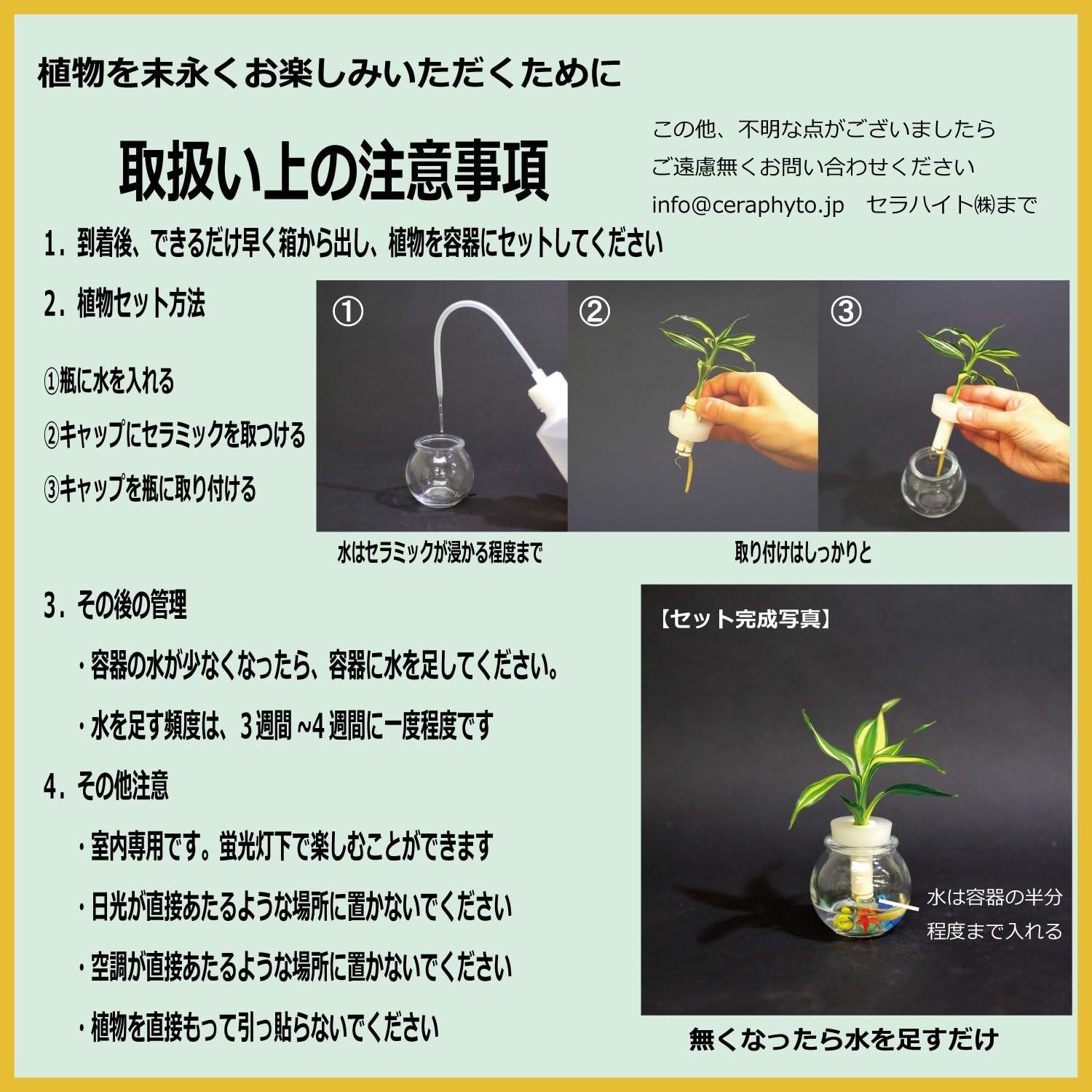 Amazon 日本古来の樹木シリーズ 良縁を結ぶ梛 ナギ の木 槇 マキ の木 花言葉 慈愛 色あせぬ恋 と タマビン 2個セット 土なし 清潔 水やり簡単 セラハイト 観葉植物 オンライン通販