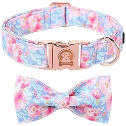 MR. CHUBBYFACE Ink Style Flower Dog Collar with Bow