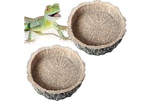 LORZOT Small Reptile Food Dish 2 Pack - Novelty Feeding Bowl for Lizard, Gecko, Spider, Scorpion & Chameleon