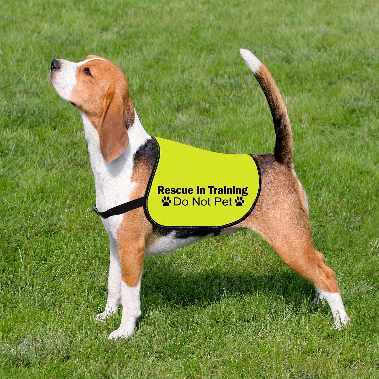 View 7