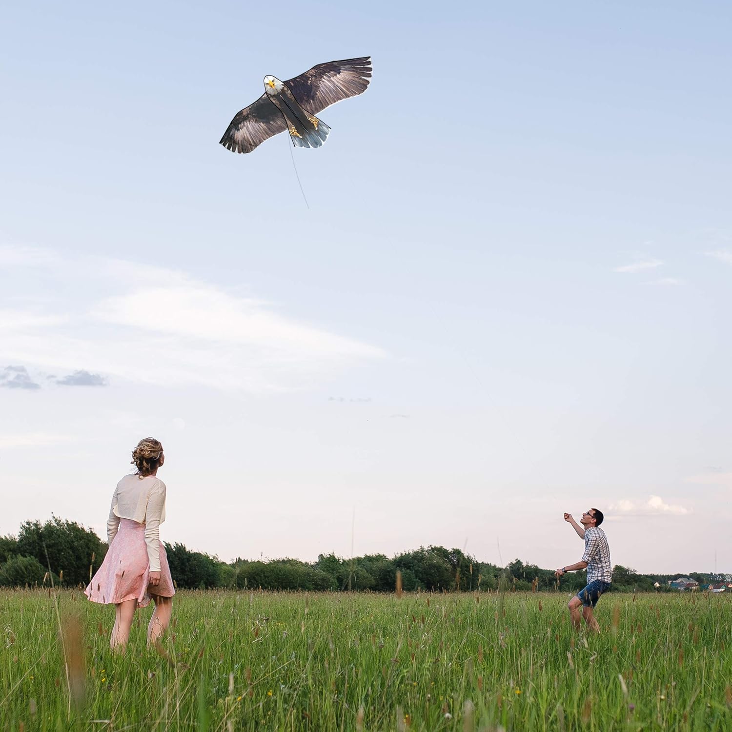 JEKOSEN 70" Bald Eagle Huge Kite for Kids and Adults Single Line String Easy to Fly for Beach Trip Park Family Outdoor Games and Activities: Toys & Games