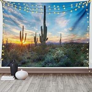 Ambesonne Saguaro Tapestry, Sun is Setting Between Cactus Plants with Spines Noon Landscape Wild Design, Wide Wall Hanging for Bedroom Living Room Dorm, 60