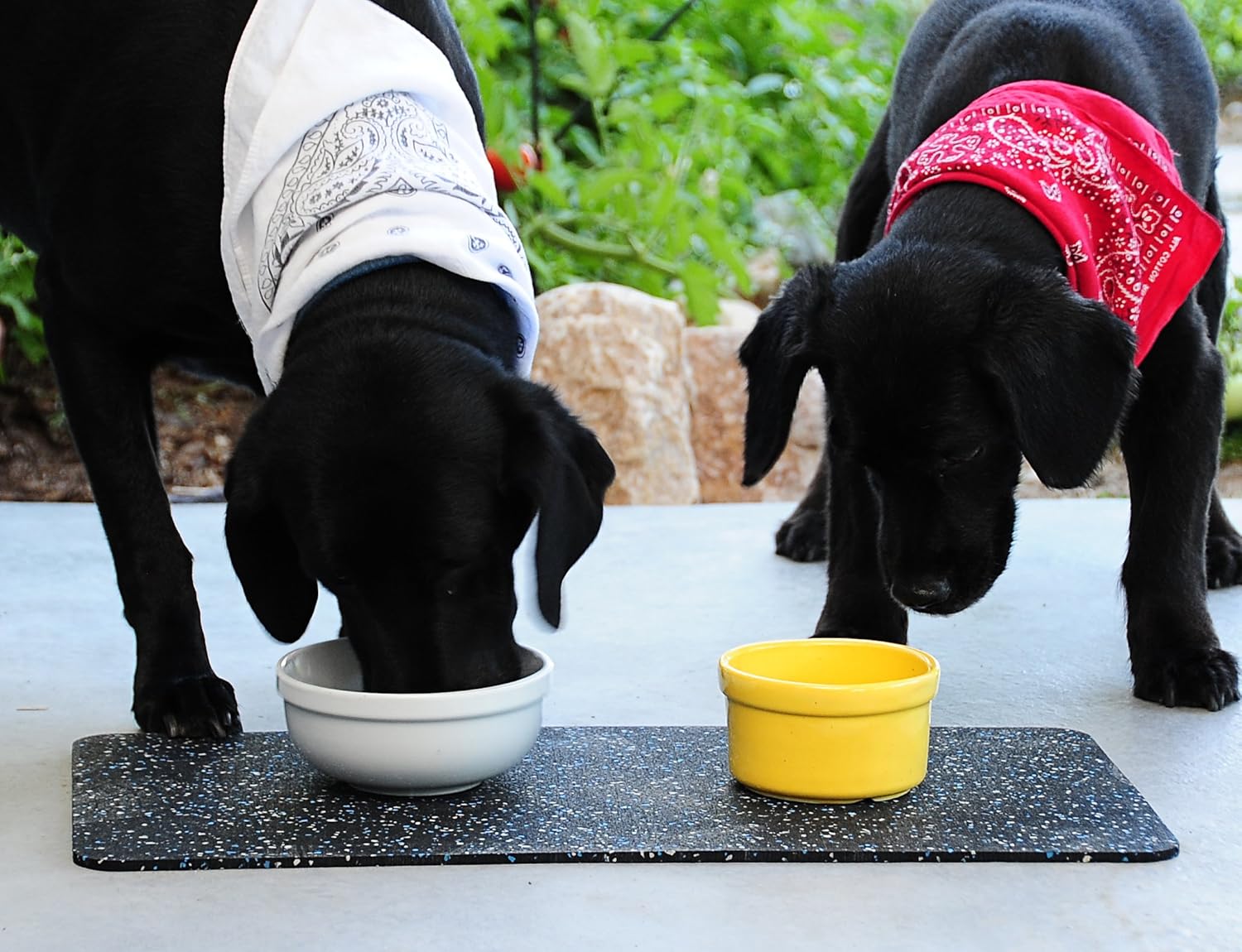 rubber mat for dog bowls