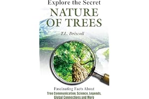Explore The Secret Nature of Trees: Fascinating Facts About Tree Communication, Science, Legends, Global Connections and More