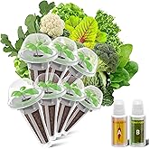 inbloom Salad Green Seed Pod Kit for AeroGarden, Ahopegarden, GARDENCUBE, MUFGA, 7 Pods (350+ Seeds with American Fast/Paris Island/Buttercrunch Lettuce, Swiss Chard, Spinach, Cauliflower, Cabbage)