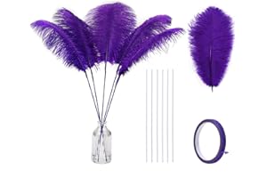 Holmgren Purple Large Ostrich Feather - 20pcs Making Kit 22 Inch Large Ostrich Feathersfor Crafts Floral Arrangement, Wedding Party Centerpieces Home Decorations (Purple)