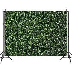 Nature Spring 3D Green Leaves Theme Photo