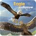 Eagle Multiplayer