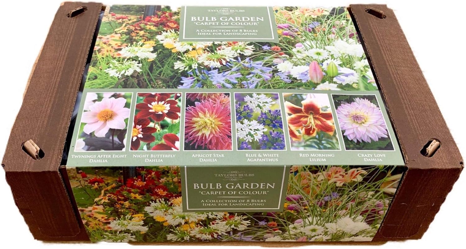 Garden Bulbs Flowers & Plants Dahlia & Lilium Collection Gift Set