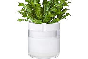 Phoenix Vine 8 Inch Self Watering Planter, White Terracotta Clay Pot with Glass Reservoir for Indoor Plants, Herbs, Flowers, Set of 1, 52-B-H-1
