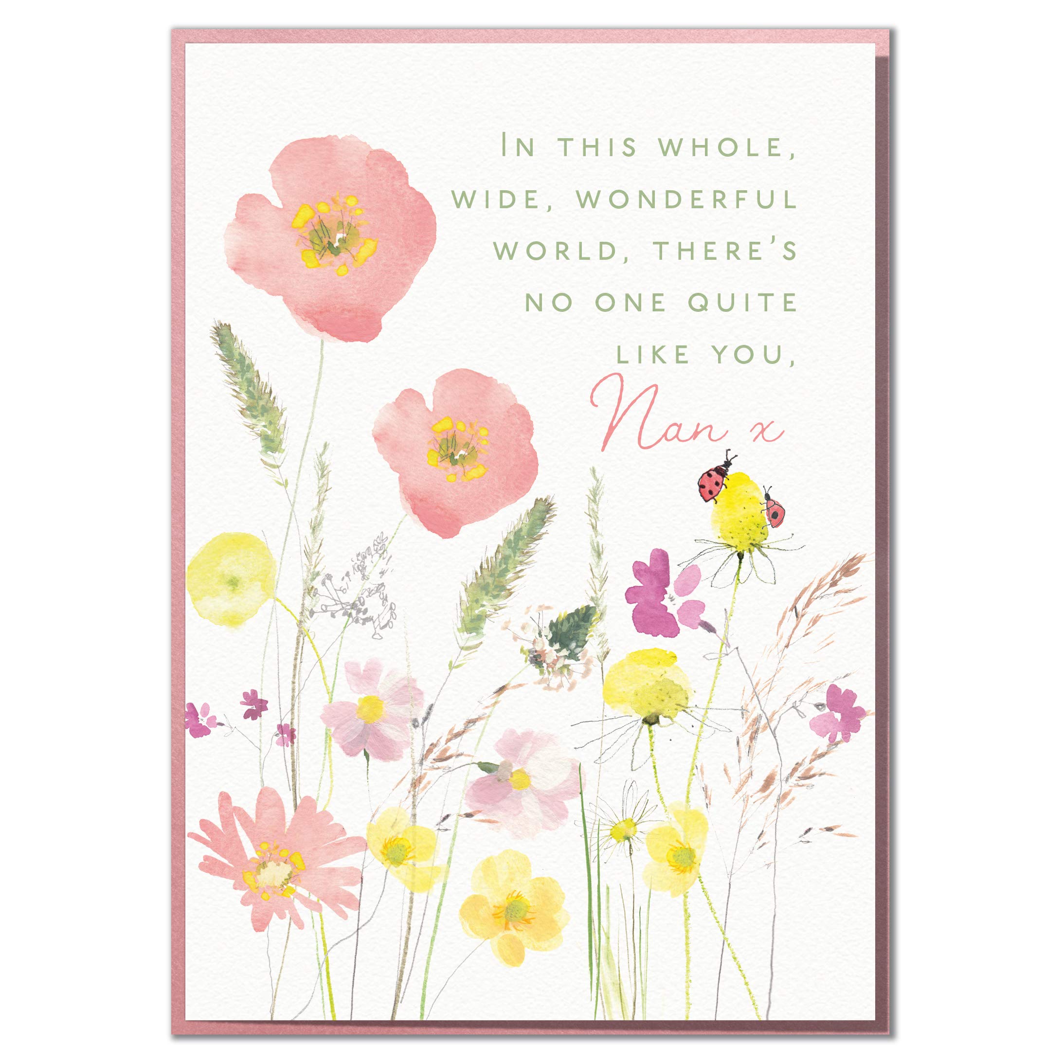 There's No One Quite Like You, Nan. Lovely Birthday Card for A Special Nan