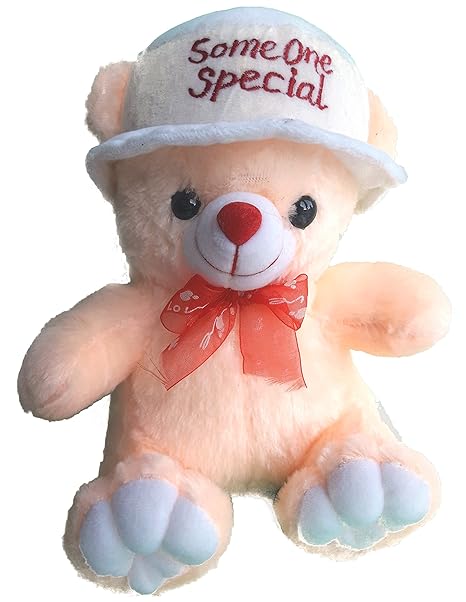 taddy day special