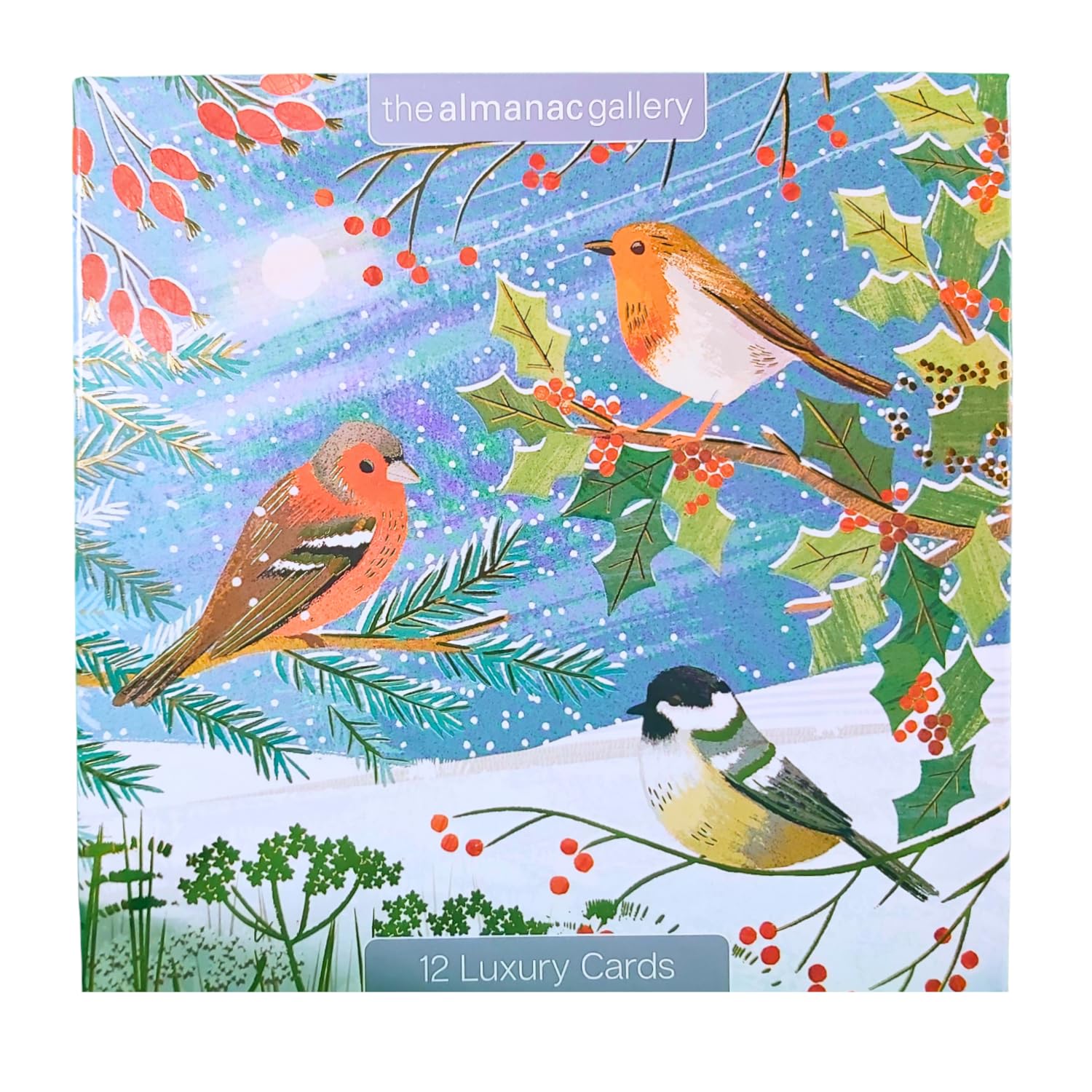 Box of 12 Almanac British Garden Birds Christmas Cards in 3 Designs Boxed Xmas DELA0005