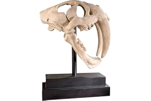 Design Toscano Inc 20.5H in. Saber-toothed Tiger Skull Artifact