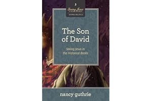 The Son of David: Seeing Jesus in the Historical Books (A 10-week Bible Study) (Volume 3)
