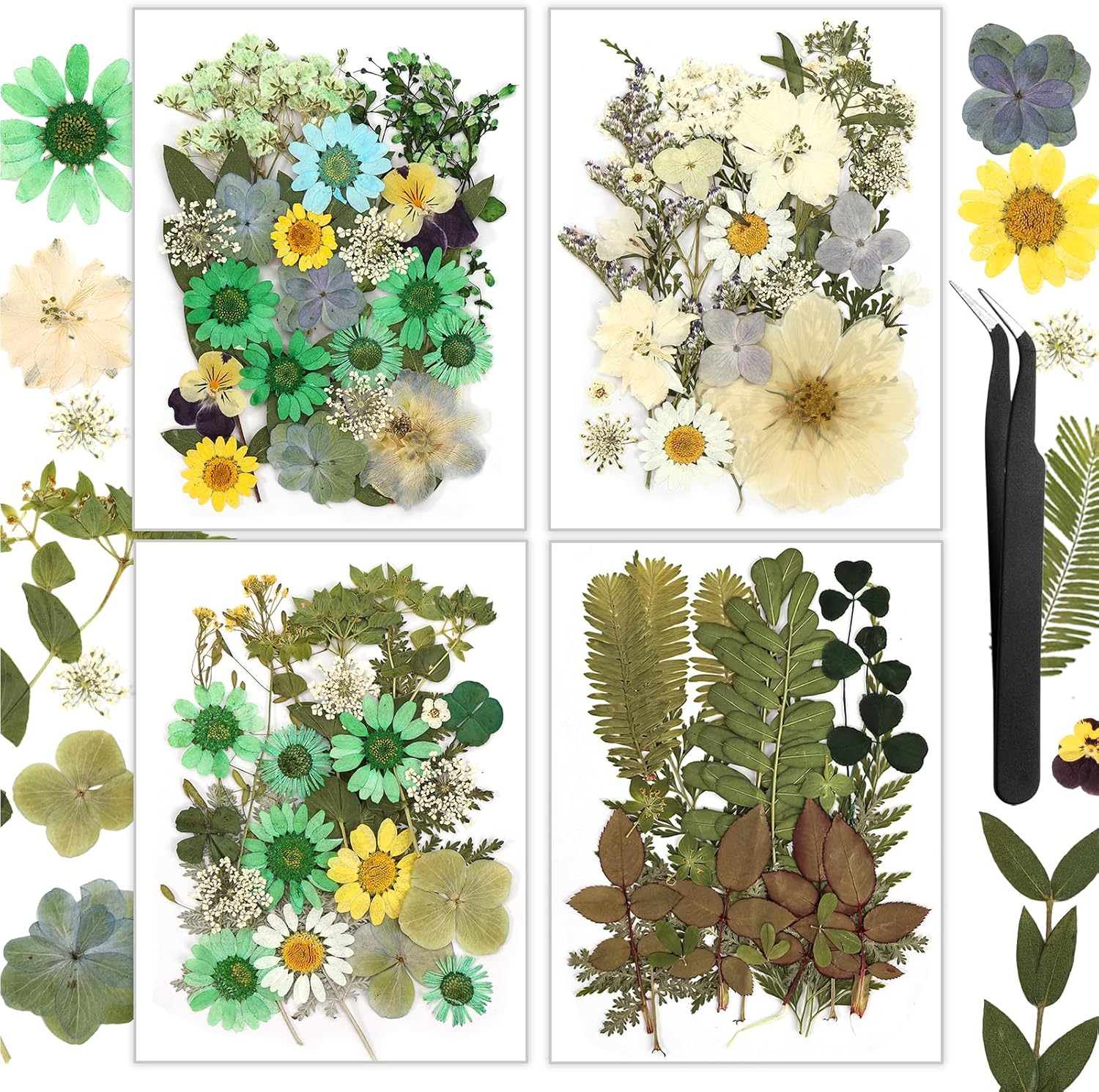 Dried & Preserved Flora - Resiners 100Pcs Dried Pressed Flowers for Resin Molds, Green Real Natural Dried Flowers Dry Leaves kit for Scrapbook Supplies Card Making Resin Jewelry Making Soap Candle DIY Crafts