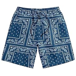 DIOTSR Mens Paisley Casual Shorts Retro Graphic