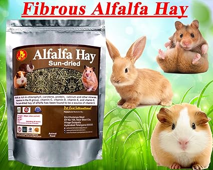 best place to buy hay for rabbits