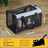 Conlun Cat Carrier Bag Soft-Sided Pet Carrier 4-Sided Mesh Grey M view 2