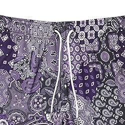 DIOTSR Mens Mesh Paisley Shorts, Casual Retro