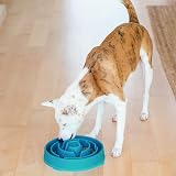 Outward Hound Slow Feeder Dog Bowl Large Turquoise – Non-Slip, Durable view 6