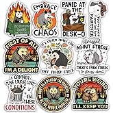 TODOLIA (10Pcs-3in) Funny Opossum Sticker Pack, Office Humor Decor Screaming Opossum Meme Sticker, Mental Health Joke Possum Gift, Decoration for Laptop Tablet Water Bottle Desk Car Helmet Vehicles