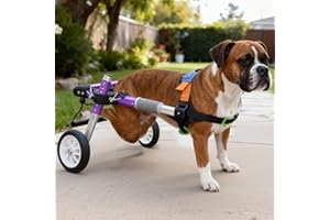 LetPetRun Dog Support Wheelchair for Back Legs Adjustable Dog Mobility Cart for Hind Legs Support Cart for Injured or Paralyzed Dogs