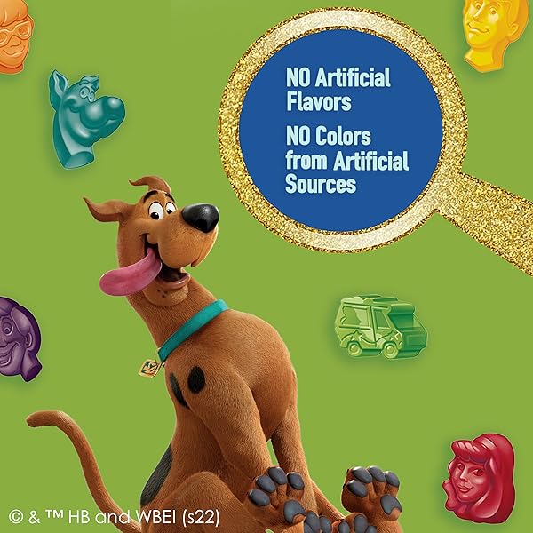 SCOOBY-DOO FRUIT FLAVORED SNACKS, GLUTEN FREE, KIDS SNACKS, VALUE PACK, 22 CT, 17.6 OZ
