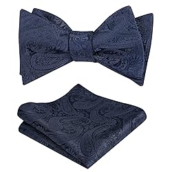 Alizeal Men Self-tied Paisley Bow Tie and Pocket